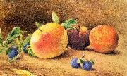 Hill, John William Study of Fruit Sweden oil painting artist